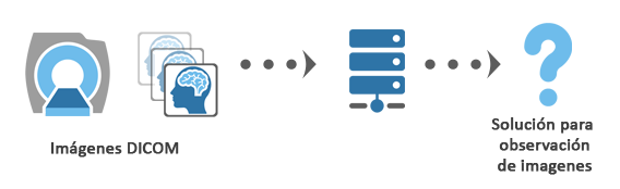 visor de diagnóstico dicom